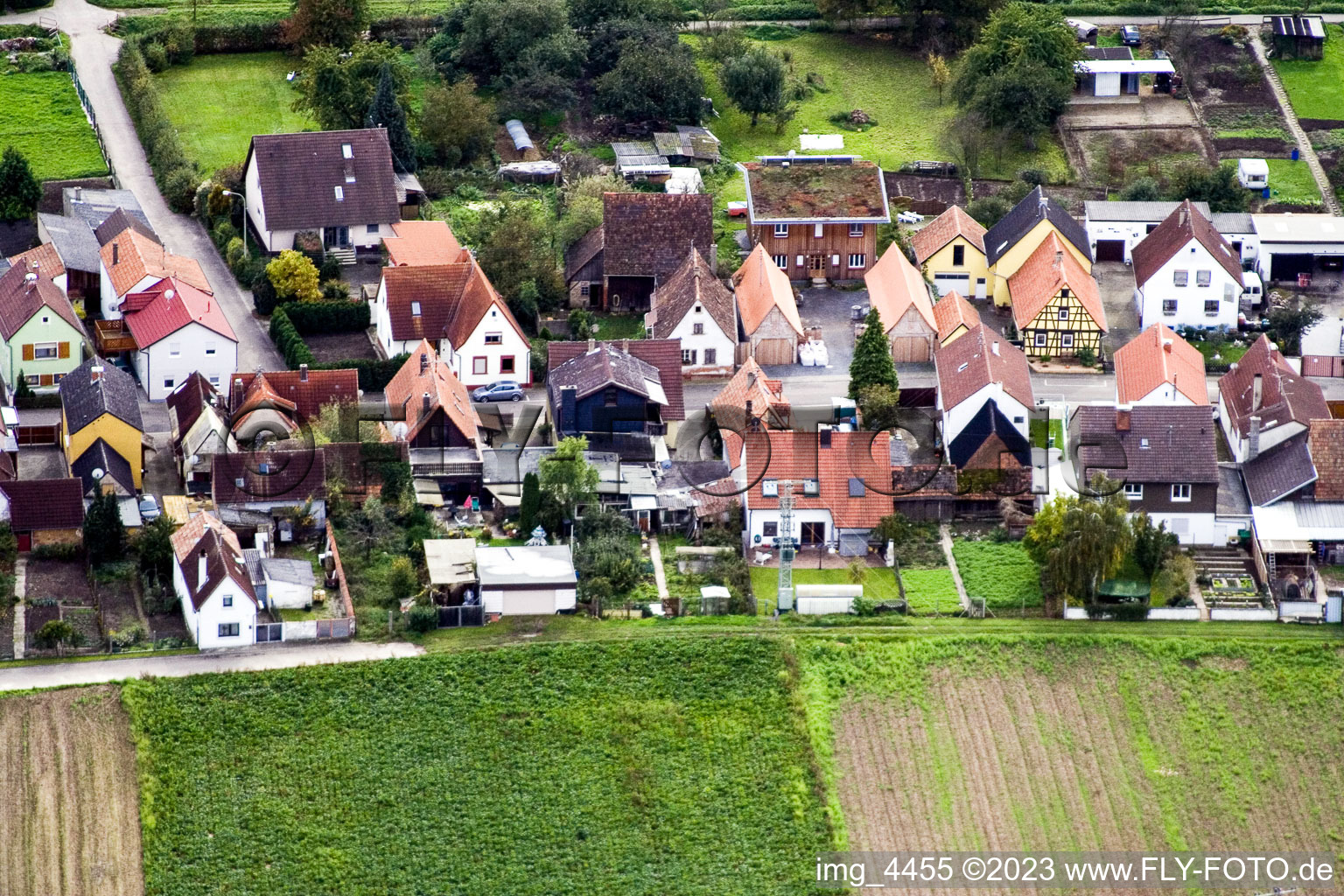 Gänsried à Freckenfeld dans le département Rhénanie-Palatinat, Allemagne vue du ciel