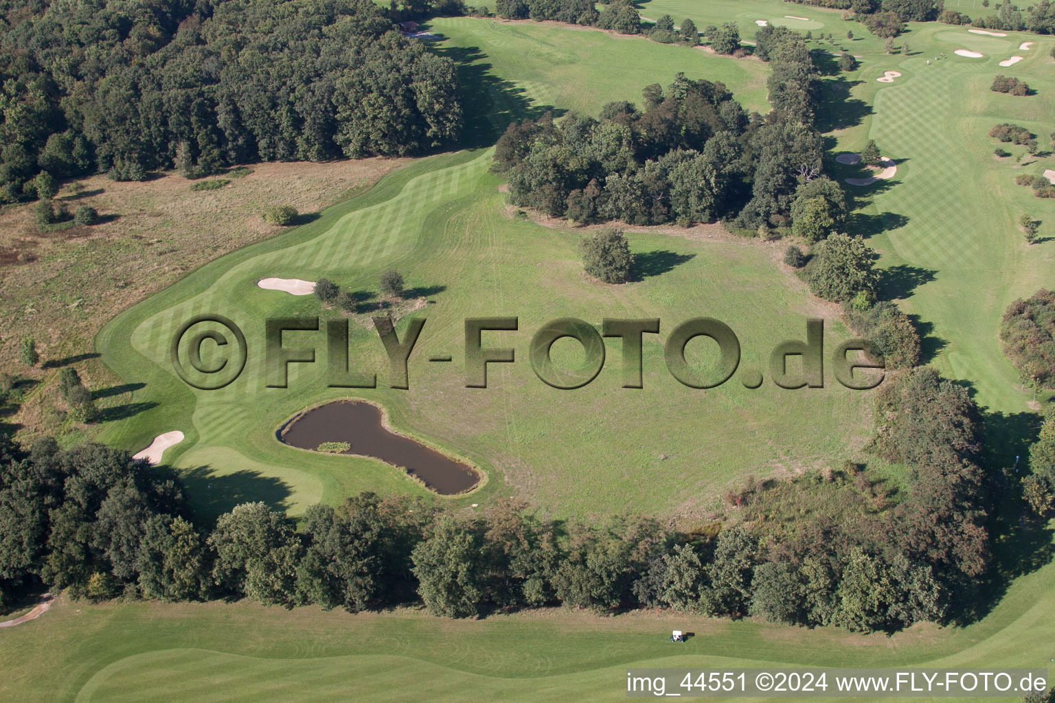 Photographie aérienne de Parcours de golf en forêt au château Miel à Miel dans le département Rhénanie du Nord-Westphalie, Allemagne