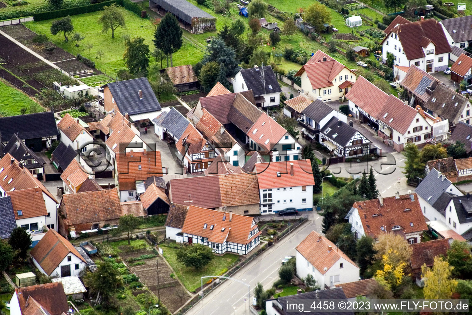 Gänsried à Freckenfeld dans le département Rhénanie-Palatinat, Allemagne du point de vue du drone