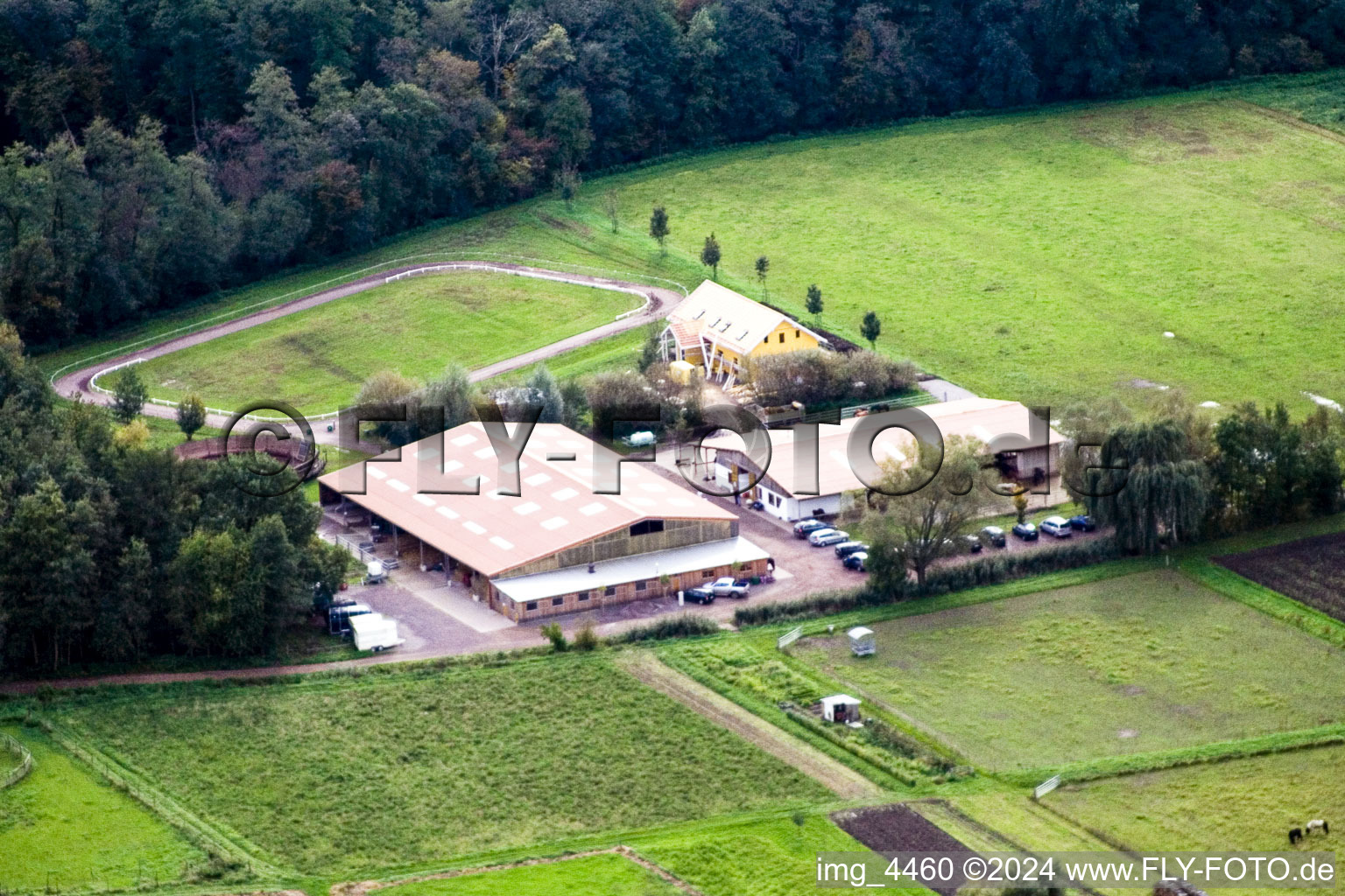 Vue aérienne de Haras islandais Bienwald à Freckenfeld dans le département Rhénanie-Palatinat, Allemagne