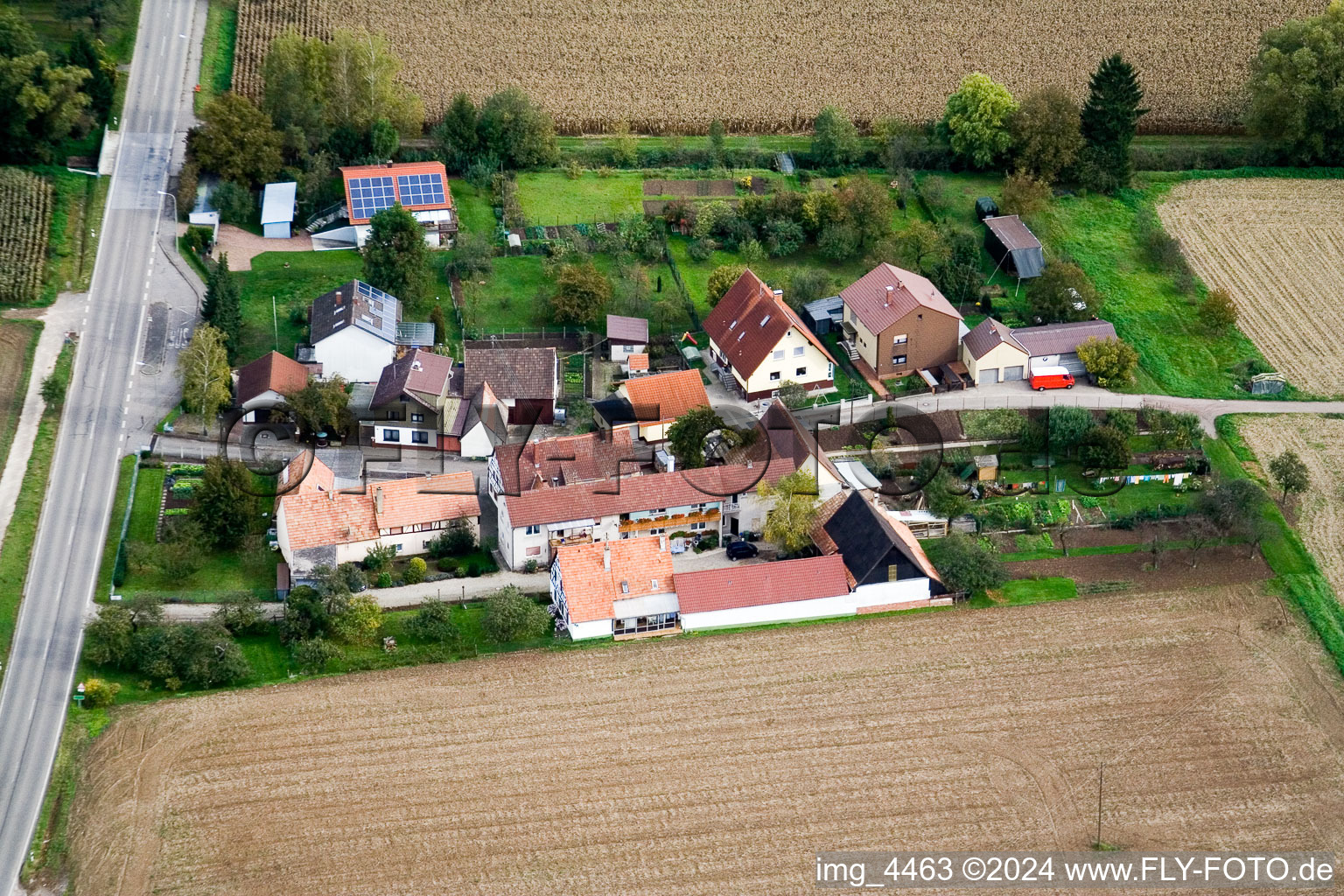 Vue oblique de Welschhof à Minfeld dans le département Rhénanie-Palatinat, Allemagne