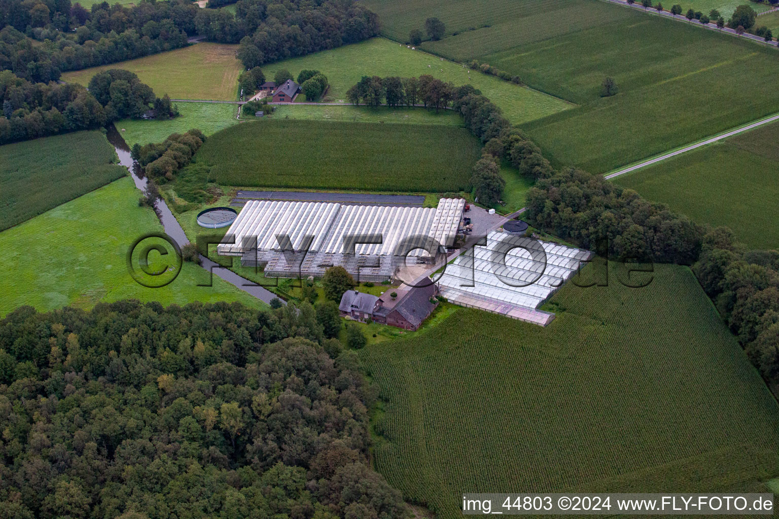 Vue aérienne de Harzbeck dans le département Rhénanie du Nord-Westphalie, Allemagne