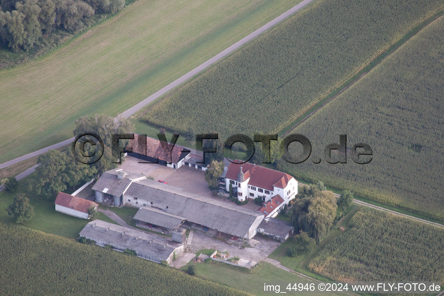 Vue aérienne de Hofgut Ludwigsau à le quartier Maximiliansau in Wörth am Rhein dans le département Rhénanie-Palatinat, Allemagne