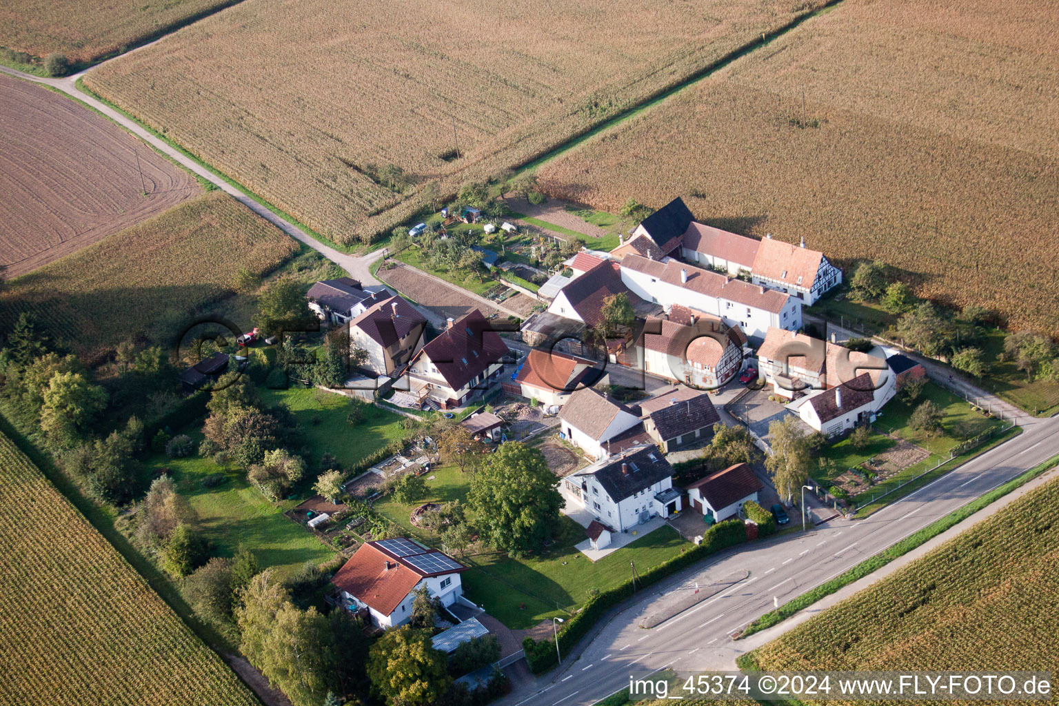 Vue d'oiseau de Minfeld dans le département Rhénanie-Palatinat, Allemagne