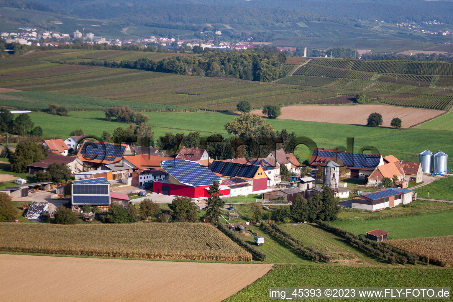 Deutschhof dans le département Rhénanie-Palatinat, Allemagne vu d'un drone