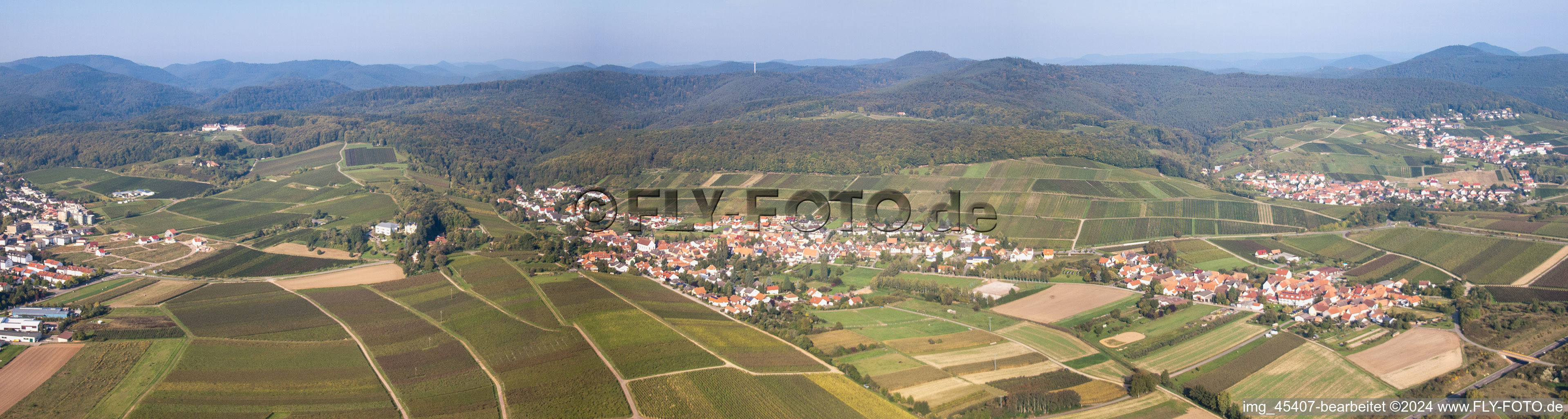 Vue aérienne de Perspective panoramique du paysage forestier et montagneux de la forêt du Palatinat / Haardtrand à le quartier Pleisweiler in Pleisweiler-Oberhofen dans le département Rhénanie-Palatinat, Allemagne