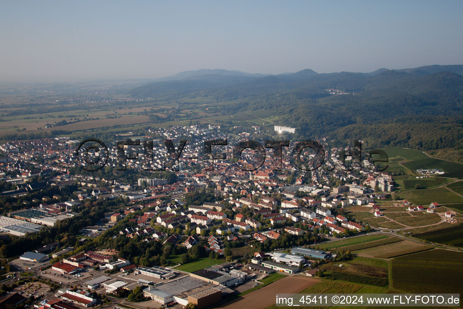 Bad Bergzabern dans le département Rhénanie-Palatinat, Allemagne depuis l'avion