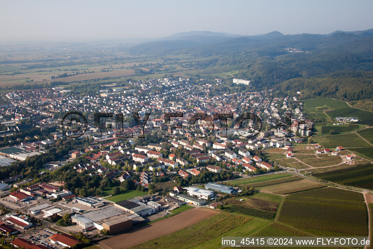 Vue d'oiseau de Bad Bergzabern dans le département Rhénanie-Palatinat, Allemagne