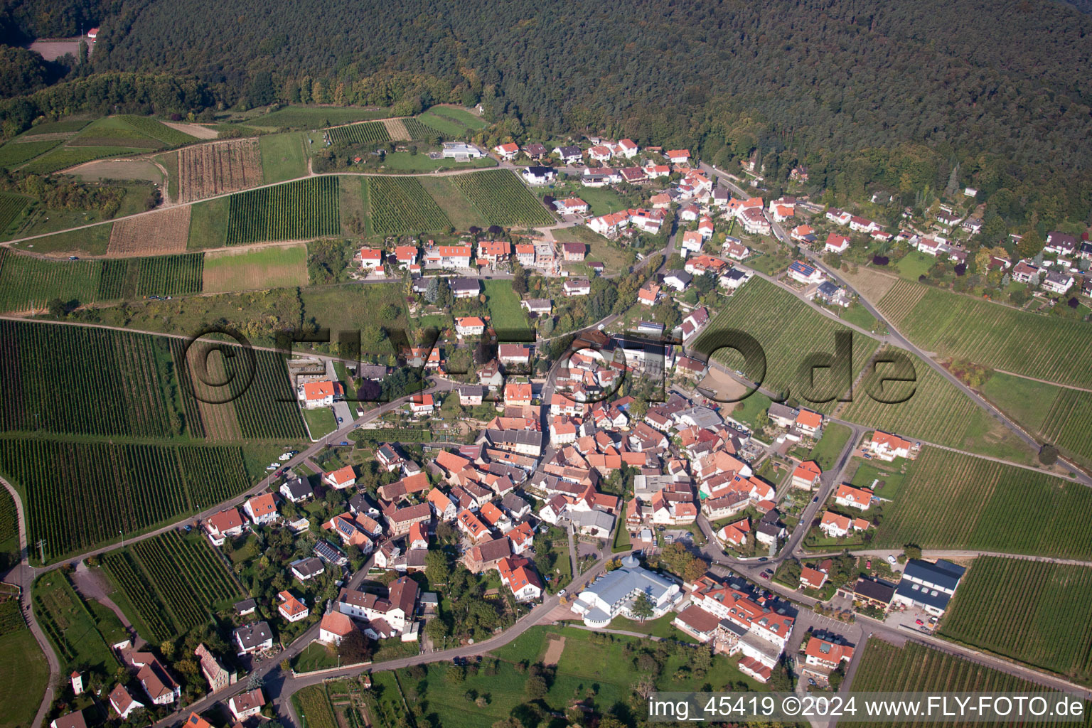 Quartier Gleiszellen in Gleiszellen-Gleishorbach dans le département Rhénanie-Palatinat, Allemagne vue d'en haut