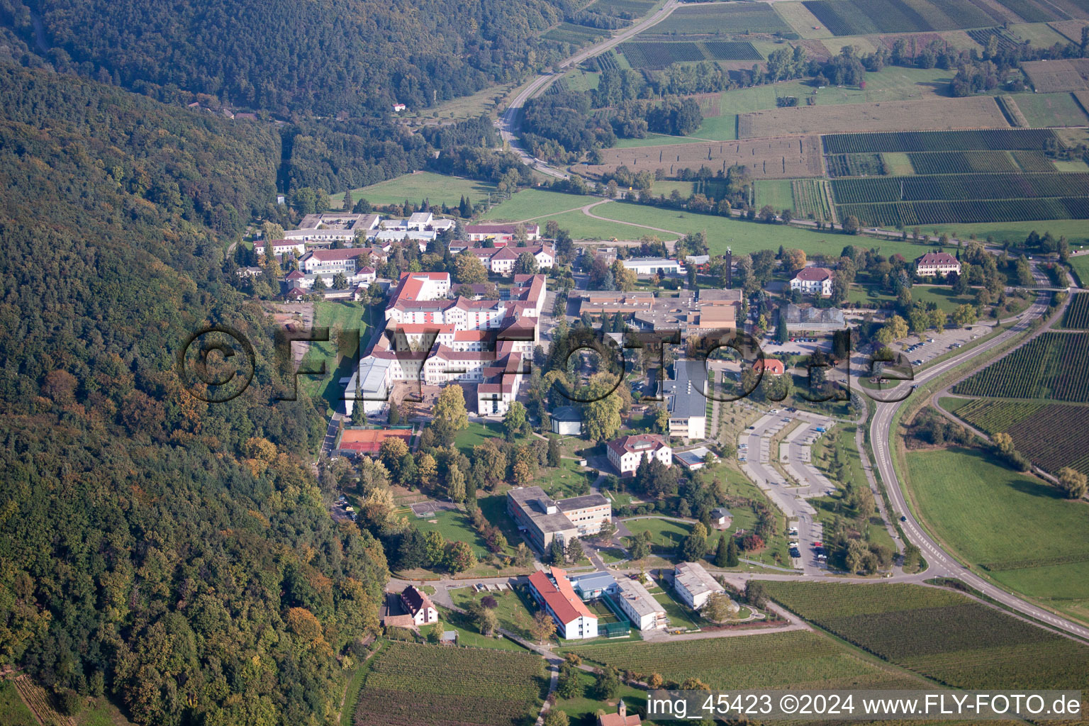 Photographie aérienne de Clinique psychiatrique d'État à Klingenmünster dans le département Rhénanie-Palatinat, Allemagne