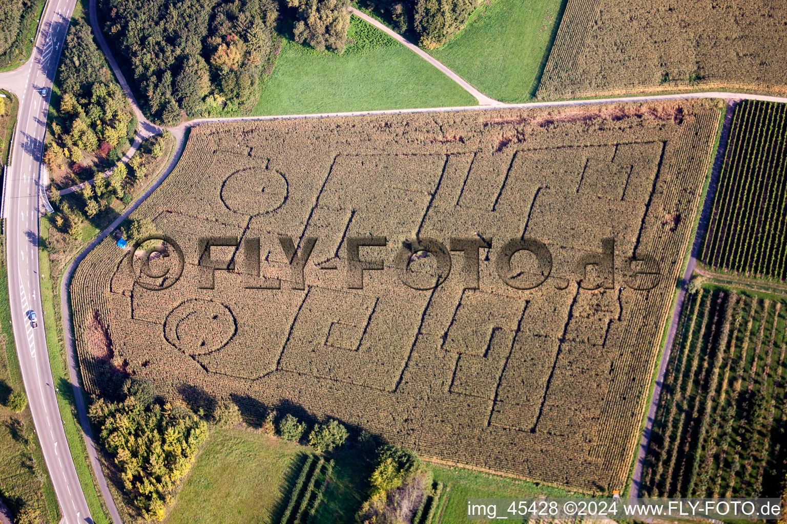 Vue aérienne de Labyrinthe - labyrinthe avec les contours des smileys sur un champ à Göcklingen dans le département Rhénanie-Palatinat, Allemagne