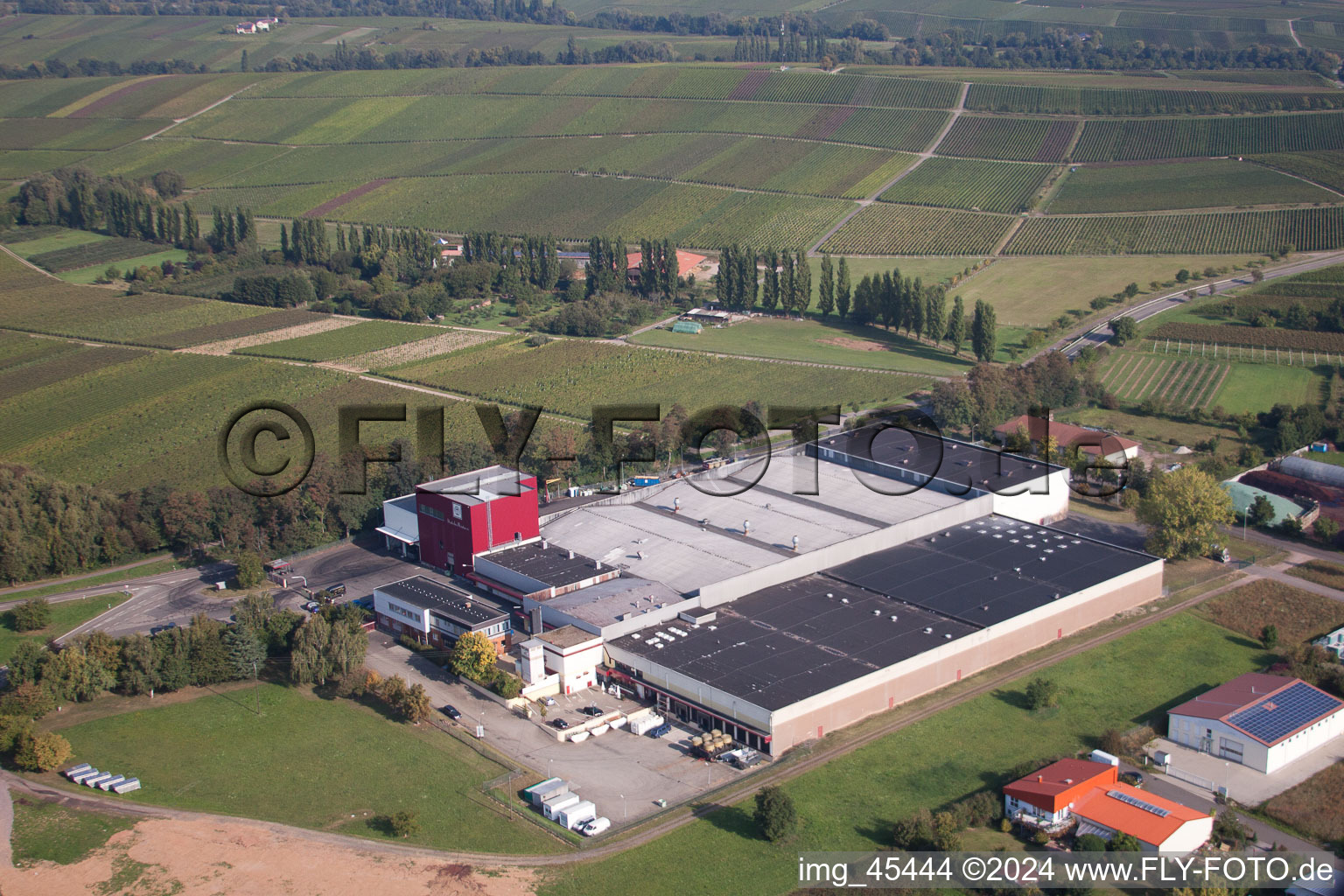 Vue aérienne de Coopérative viticole à Ilbesheim bei Landau in der Pfalz dans le département Rhénanie-Palatinat, Allemagne