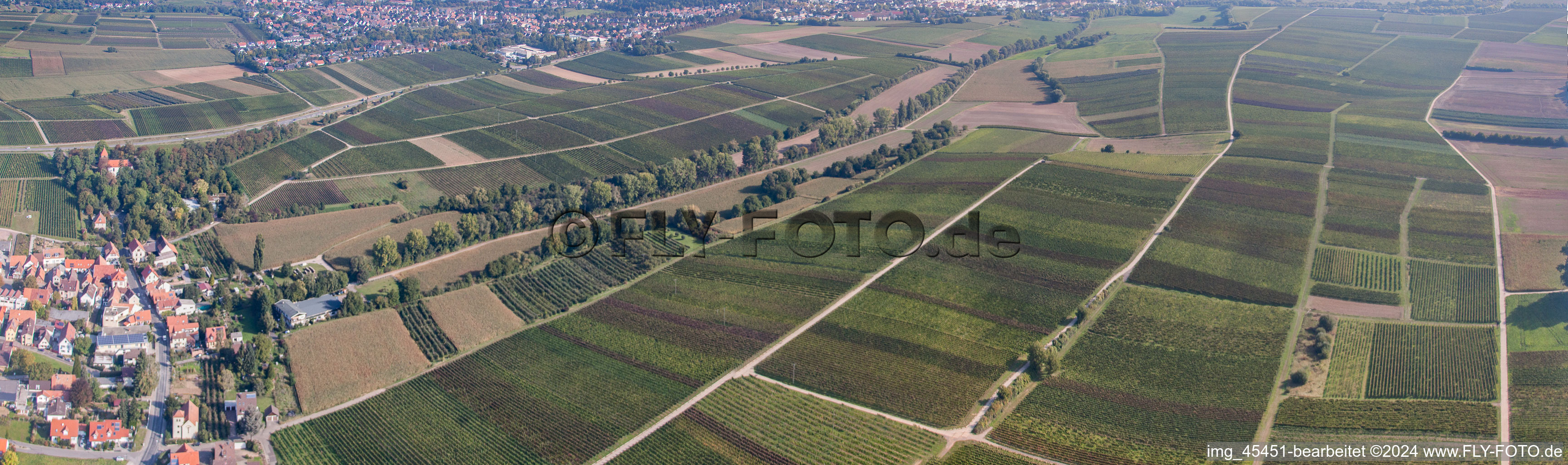 Vue aérienne de Panorama à le quartier Mörzheim in Landau in der Pfalz dans le département Rhénanie-Palatinat, Allemagne