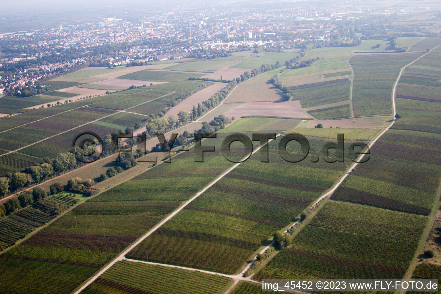 Quartier Mörzheim in Landau in der Pfalz dans le département Rhénanie-Palatinat, Allemagne vu d'un drone