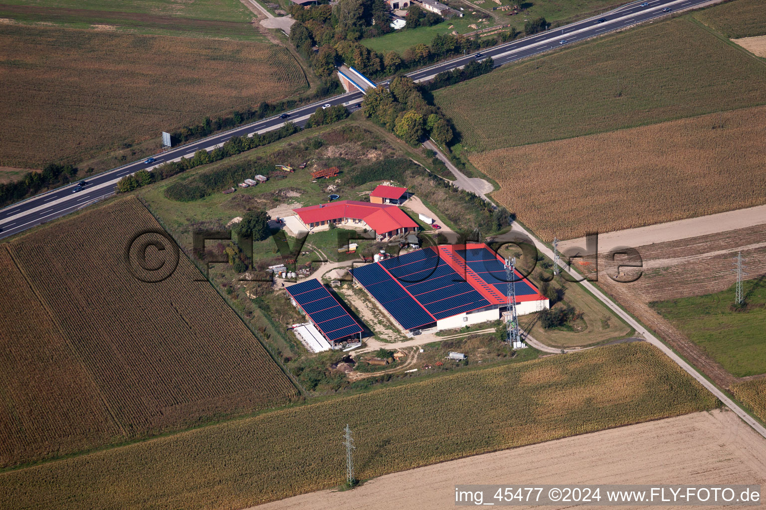 Ferme d'œufs à Erlenbach bei Kandel dans le département Rhénanie-Palatinat, Allemagne d'en haut