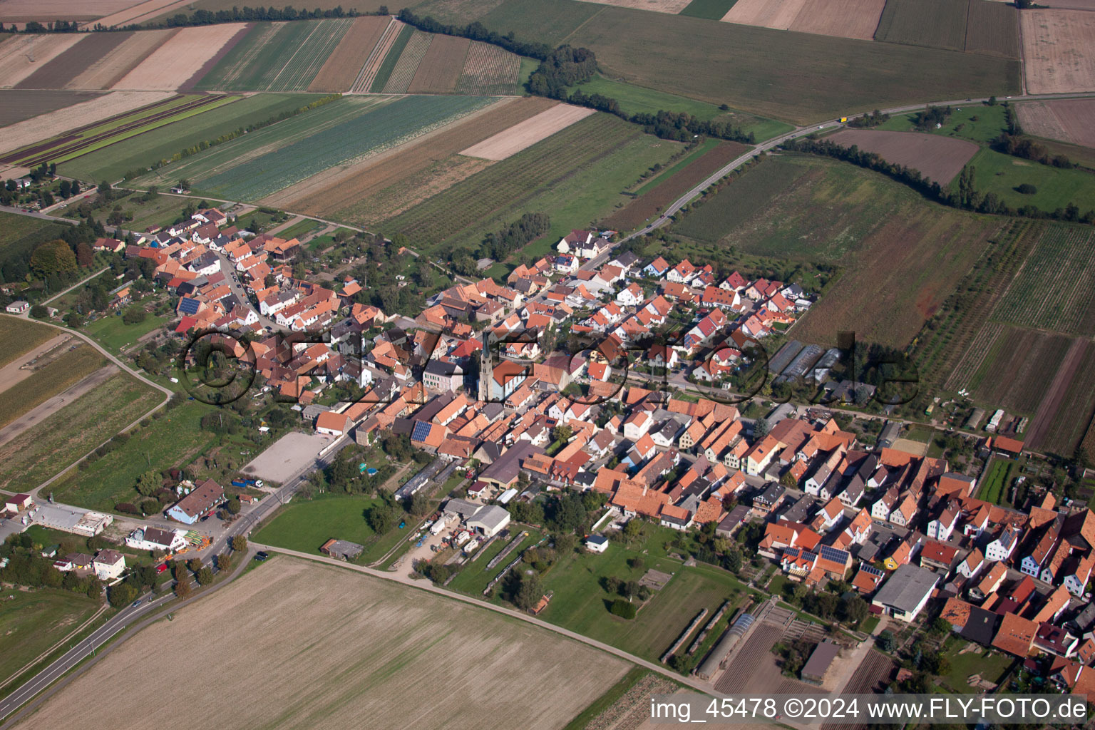 Vue oblique de Vue sur le village à Erlenbach bei Kandel dans le département Rhénanie-Palatinat, Allemagne