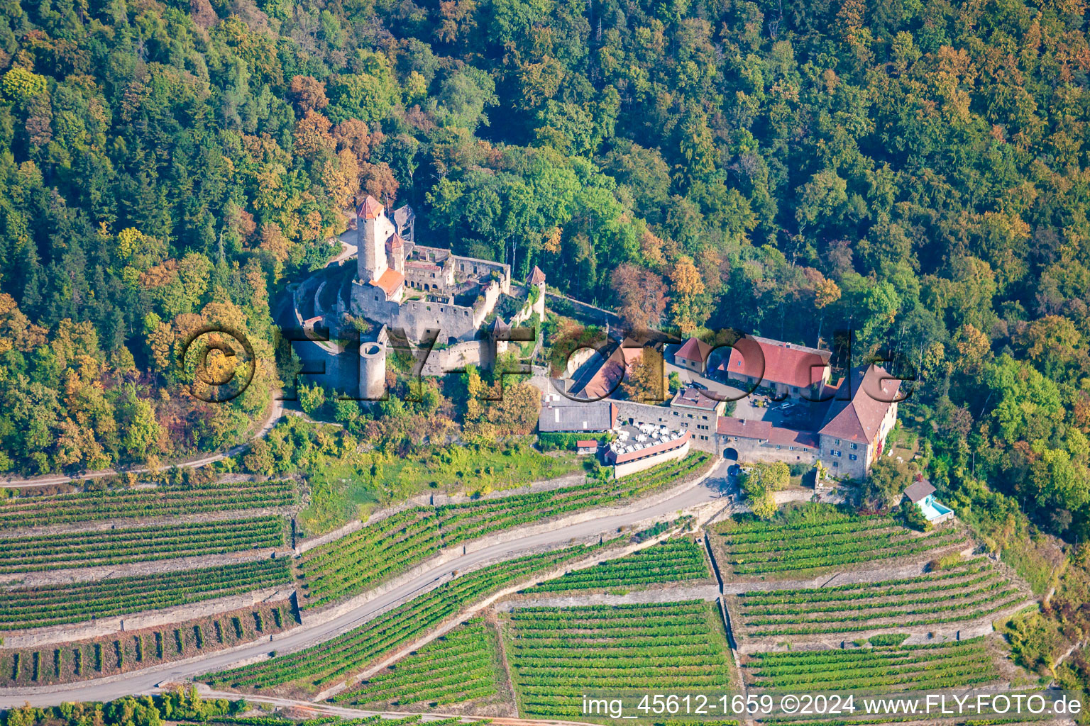 Vue aérienne de Château de Hornberg à Neckarzimmern à Neckarzimmern dans le département Bade-Wurtemberg, Allemagne