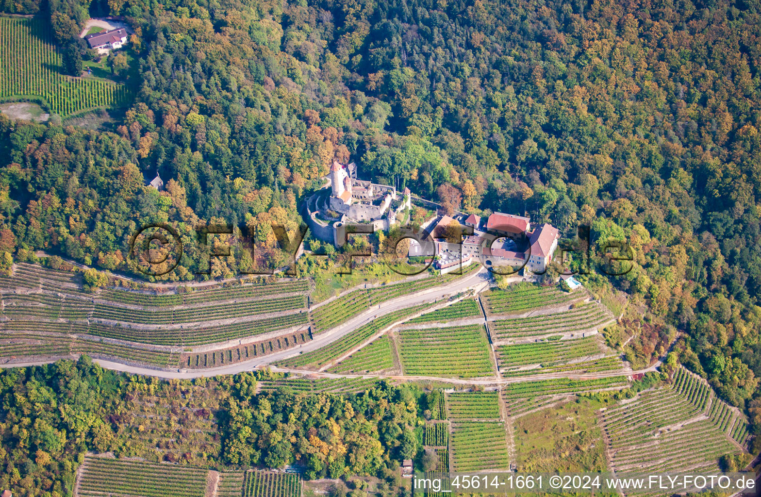 Vue aérienne de Château de Hornberg à Neckarzimmern à Neckarzimmern dans le département Bade-Wurtemberg, Allemagne