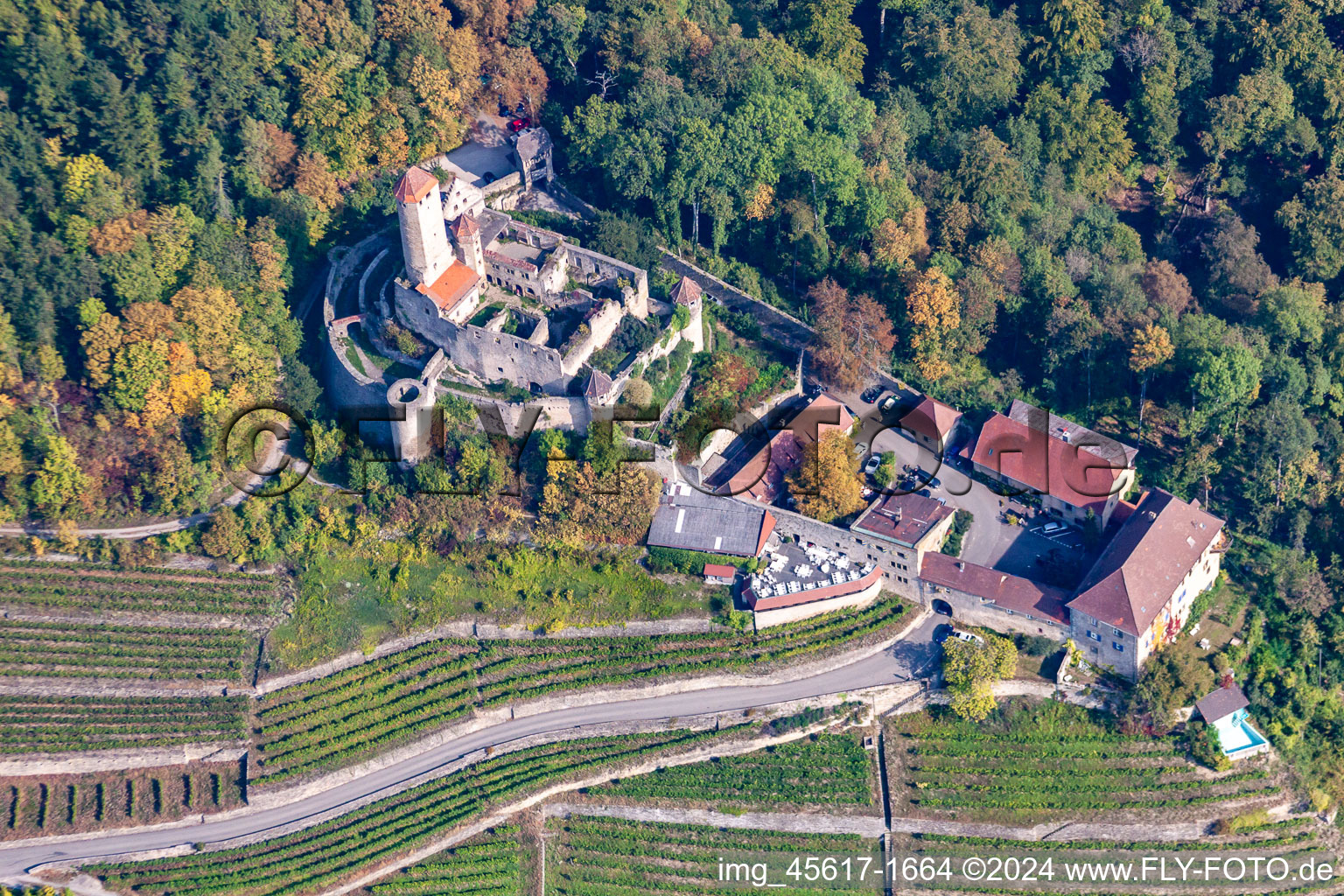 Photographie aérienne de Château de Hornberg à Neckarzimmern à Neckarzimmern dans le département Bade-Wurtemberg, Allemagne