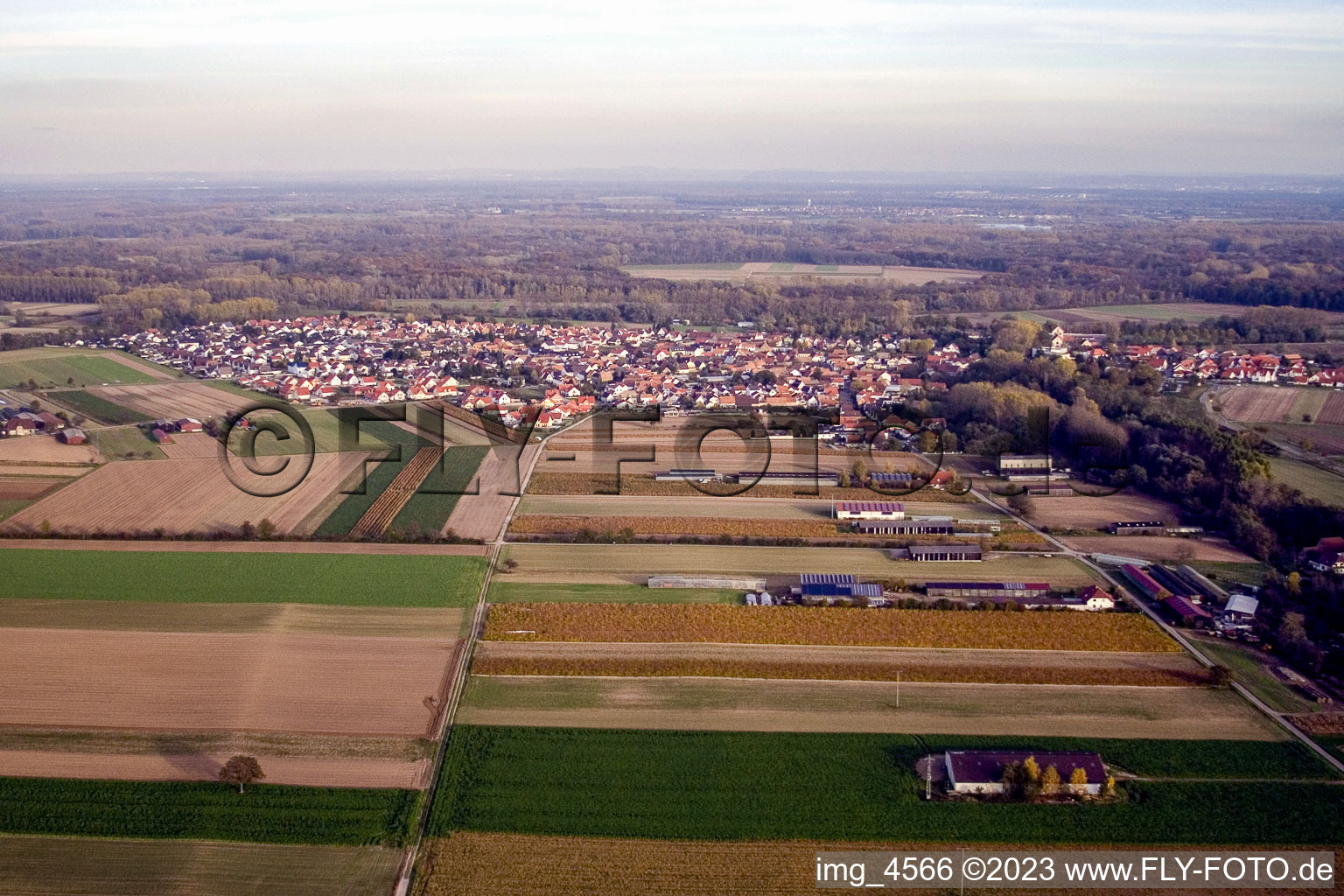 Vue aérienne de De l'ouest à Hördt dans le département Rhénanie-Palatinat, Allemagne