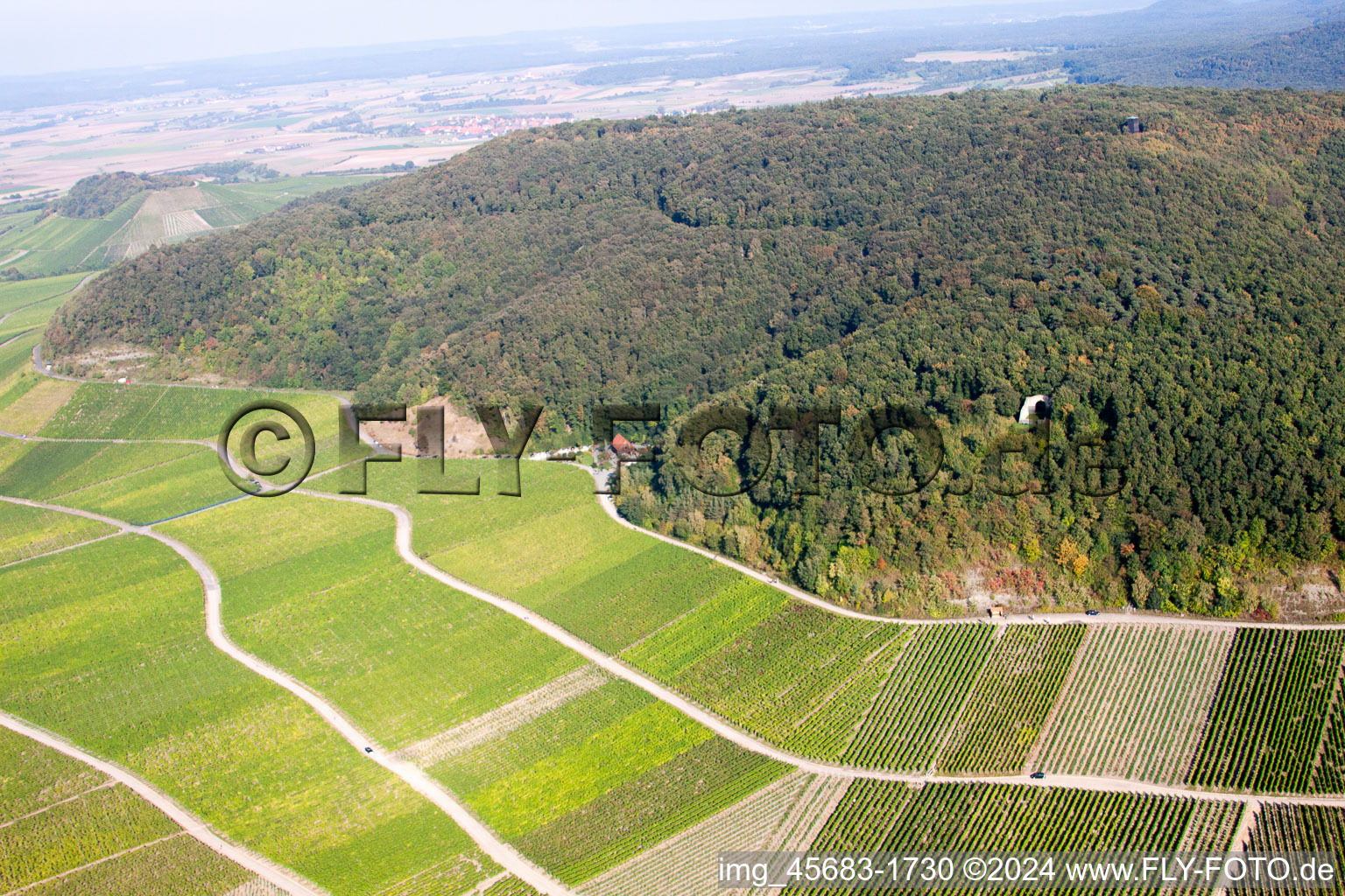 Vue aérienne de Paradis viticole sur le versant de la montagne Bullenheim à le quartier Bullenheim in Ippesheim dans le département Bavière, Allemagne