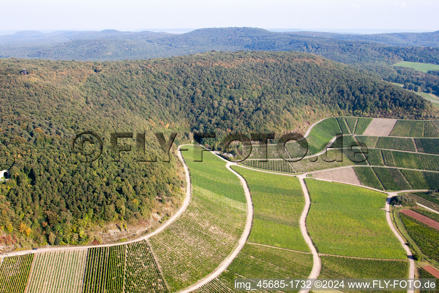 Vue aérienne de Paradis viticole sur le versant de la montagne Bullenheim à le quartier Bullenheim in Ippesheim dans le département Bavière, Allemagne