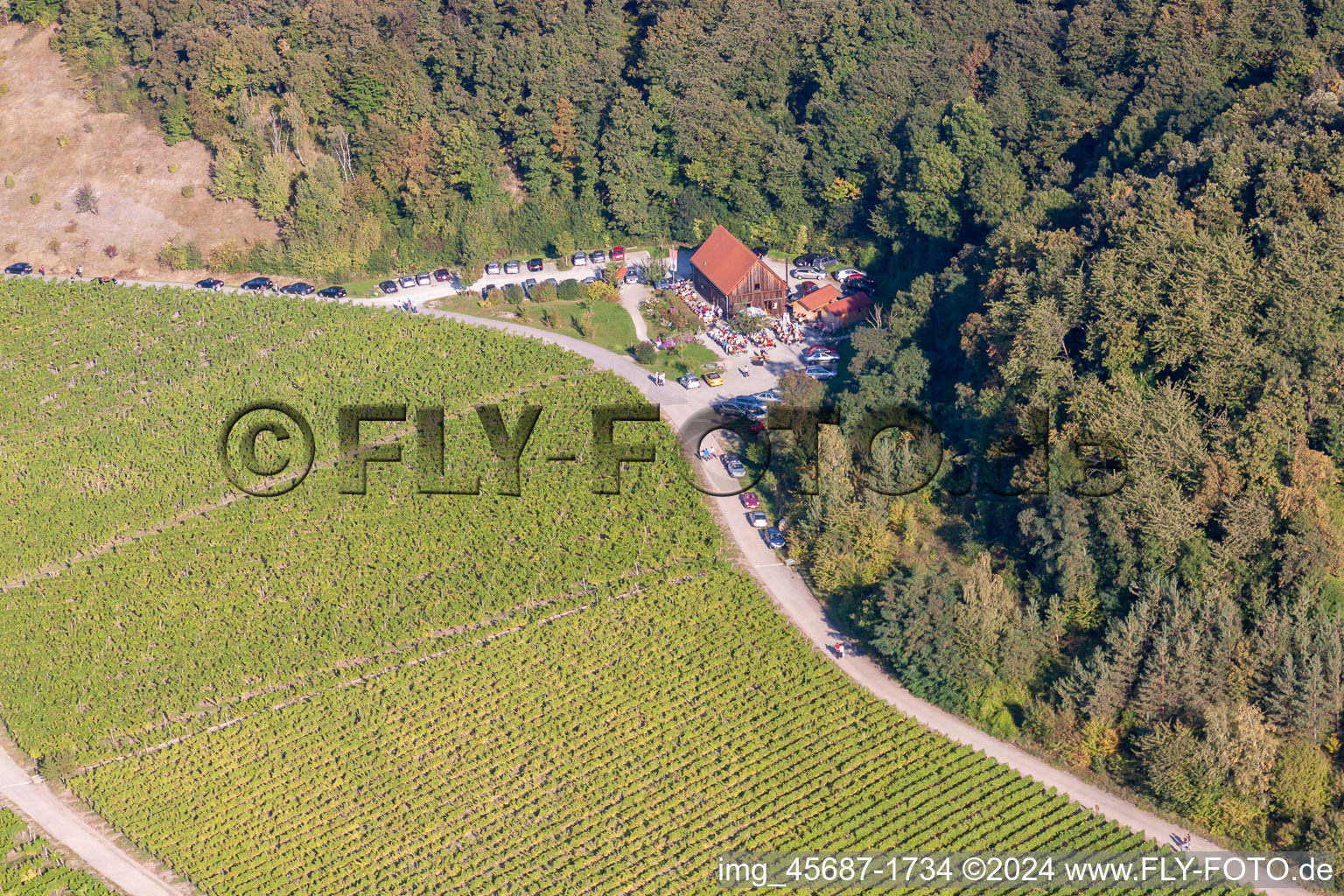 Vue aérienne de Grange du paradis du vin à le quartier Bullenheim in Ippesheim dans le département Bavière, Allemagne