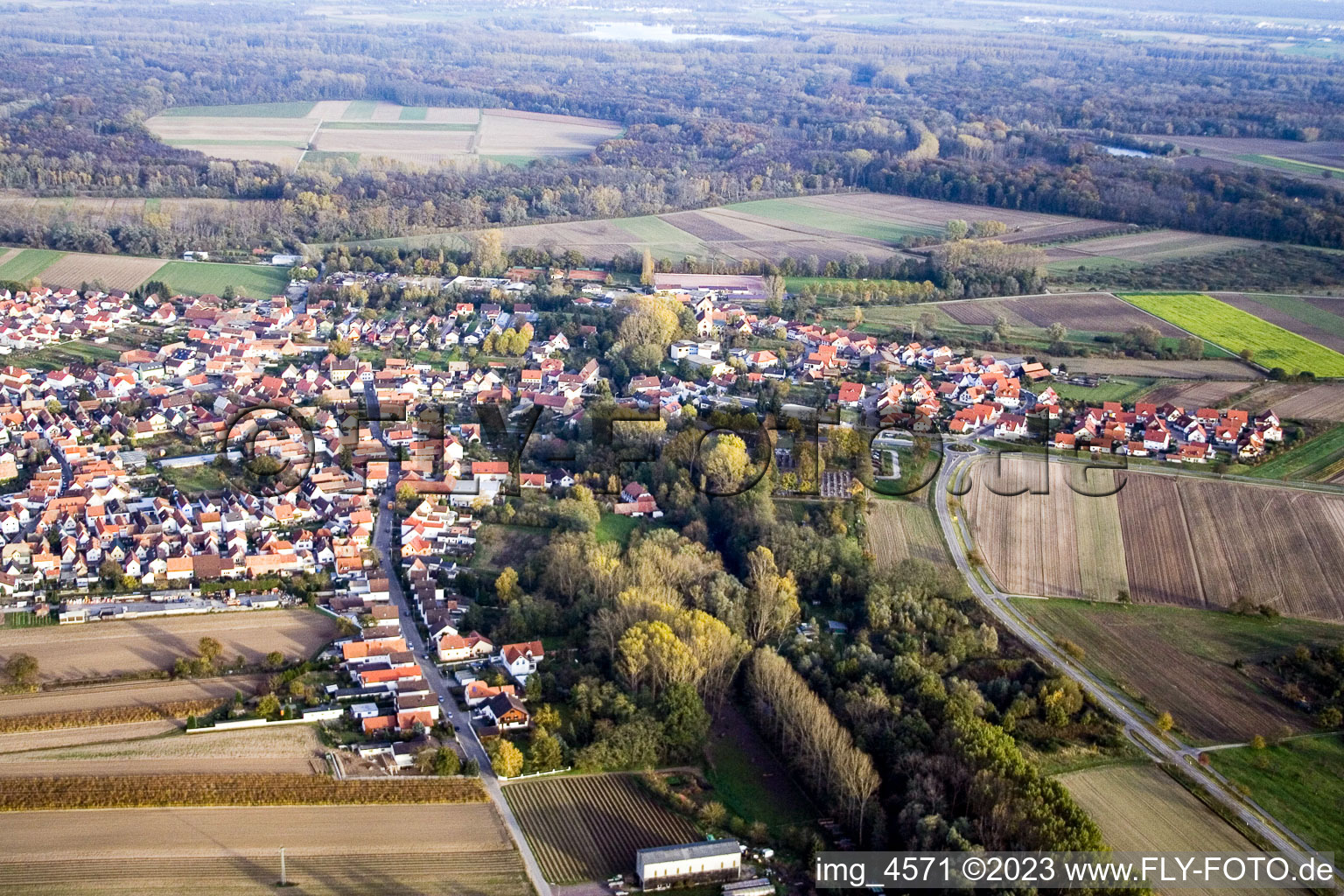 Vue aérienne de Du sud à Hördt dans le département Rhénanie-Palatinat, Allemagne
