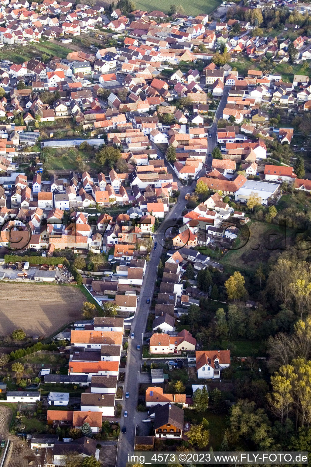 Photographie aérienne de Du sud à Hördt dans le département Rhénanie-Palatinat, Allemagne