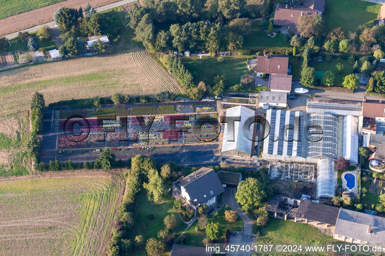 Vue aérienne de Fleurs Kraus à Hirschaid dans le département Bavière, Allemagne