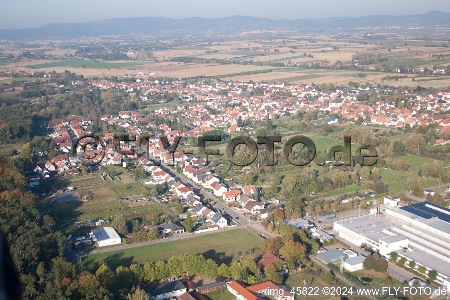 Image drone de Quartier Schaidt in Wörth am Rhein dans le département Rhénanie-Palatinat, Allemagne