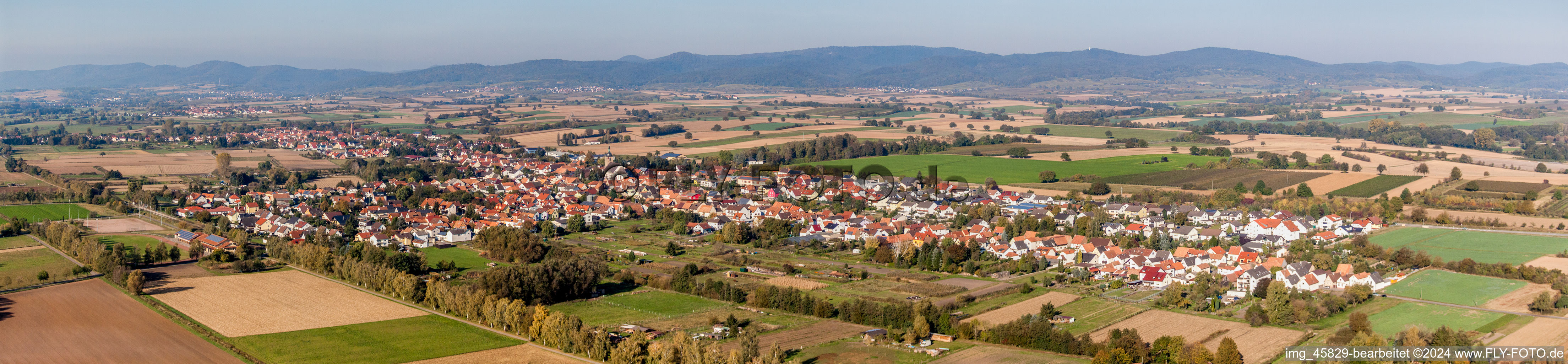 Vue aérienne de Vue panoramique en perspective des rues et des maisons des quartiers résidentiels à Steinfeld dans le département Rhénanie-Palatinat, Allemagne