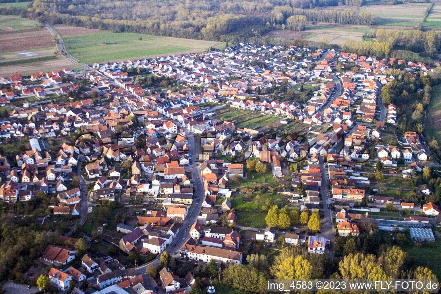 Vue aérienne de Du sud-est à Hördt dans le département Rhénanie-Palatinat, Allemagne