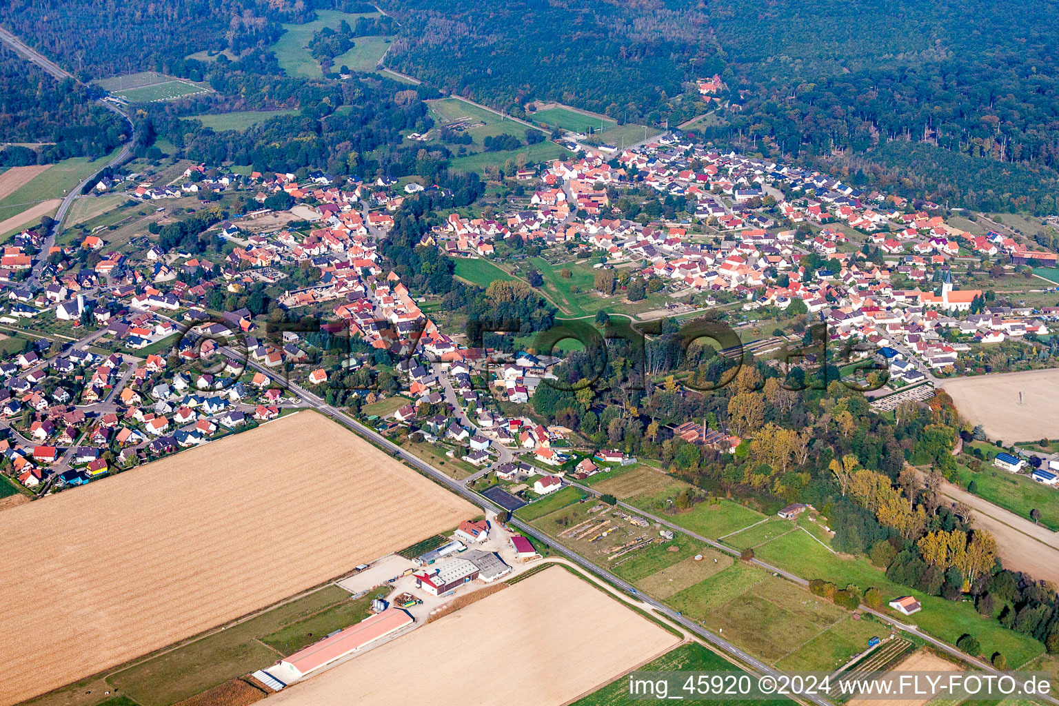 Vue aérienne de Champs agricoles et surfaces utilisables à Scheibenhard dans le département Bas Rhin, France