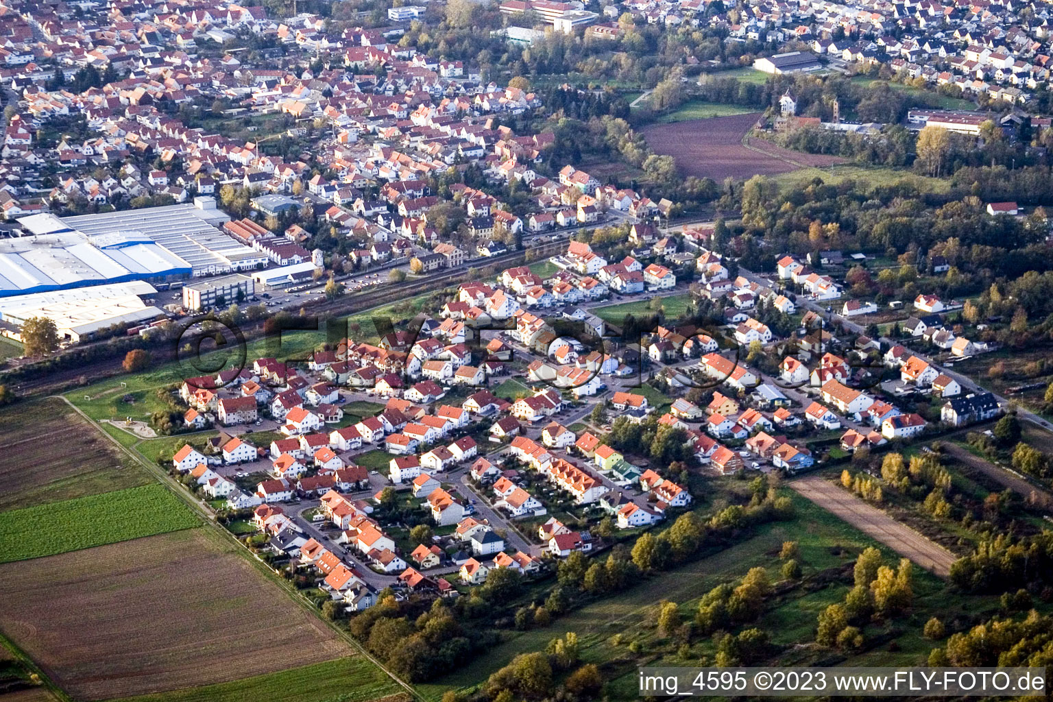 Vue aérienne de Rue Robert Koch à Bellheim dans le département Rhénanie-Palatinat, Allemagne