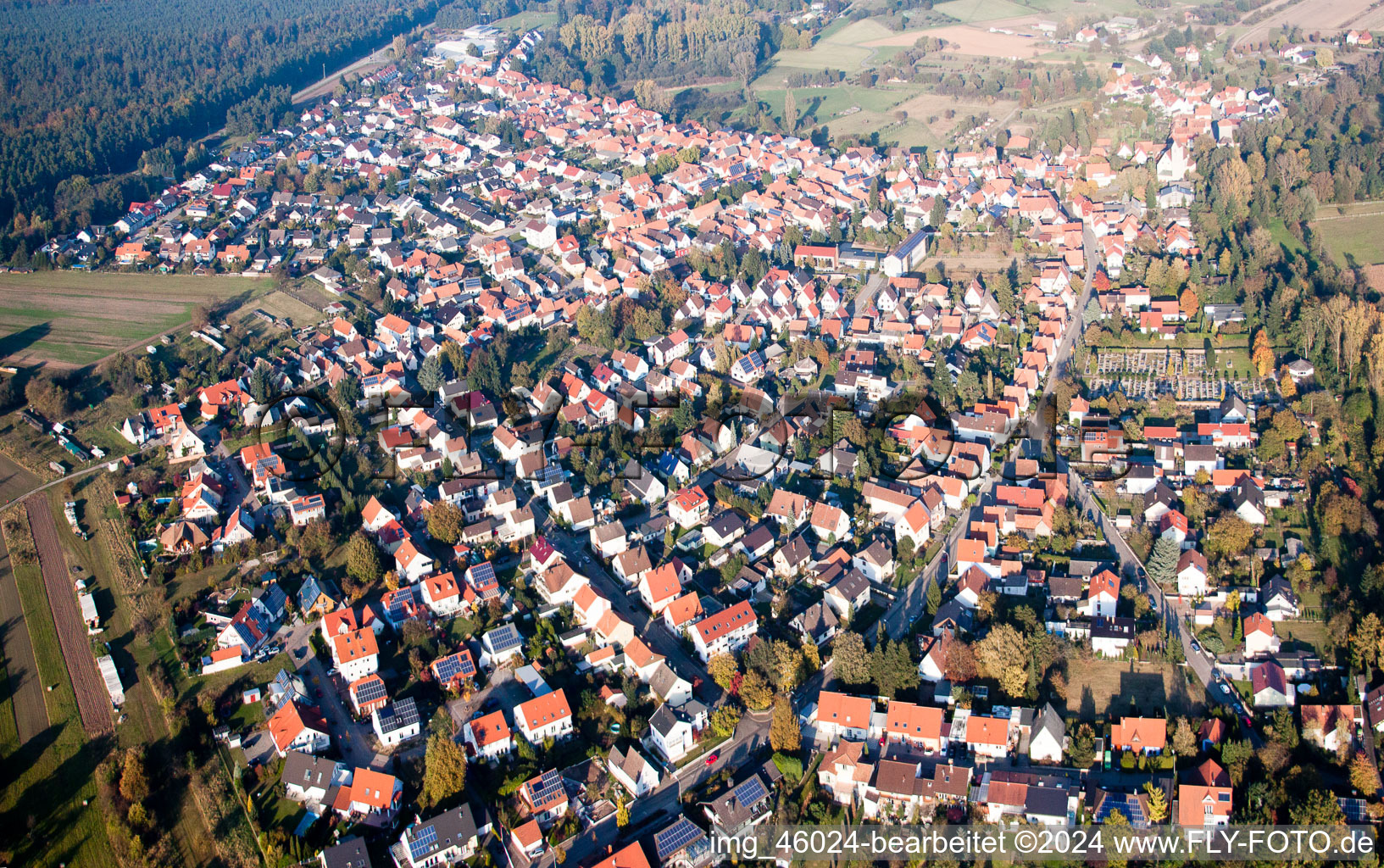 Vue d'oiseau de Vue du village (Palatinat) à Berg dans le département Rhénanie-Palatinat, Allemagne
