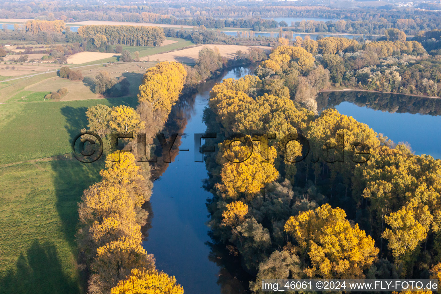 Vue aérienne de Hagenbach Vieux Rhin à le quartier Maximiliansau in Wörth am Rhein dans le département Rhénanie-Palatinat, Allemagne