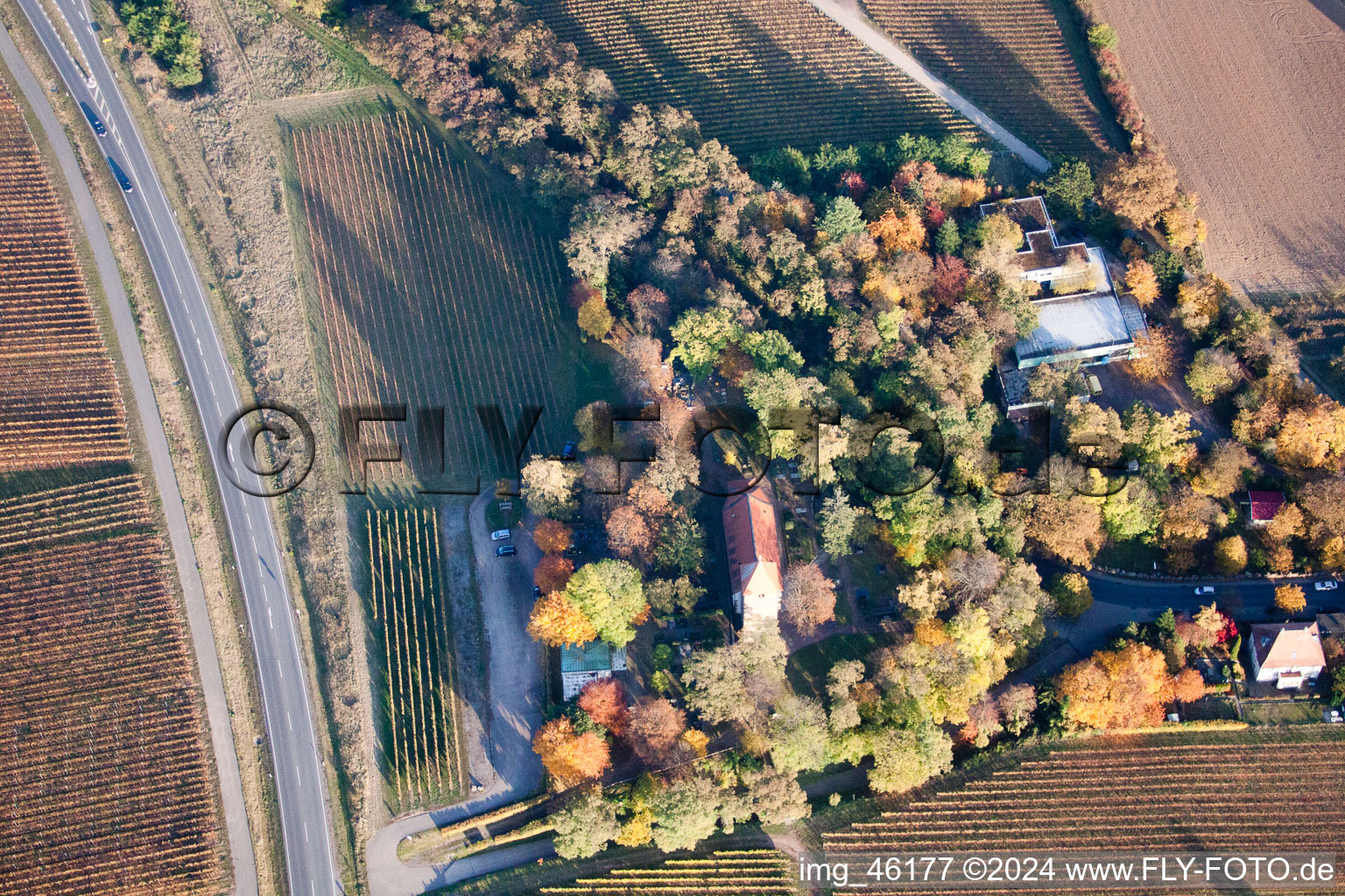 Photographie aérienne de Quartier Wollmesheim in Landau in der Pfalz dans le département Rhénanie-Palatinat, Allemagne