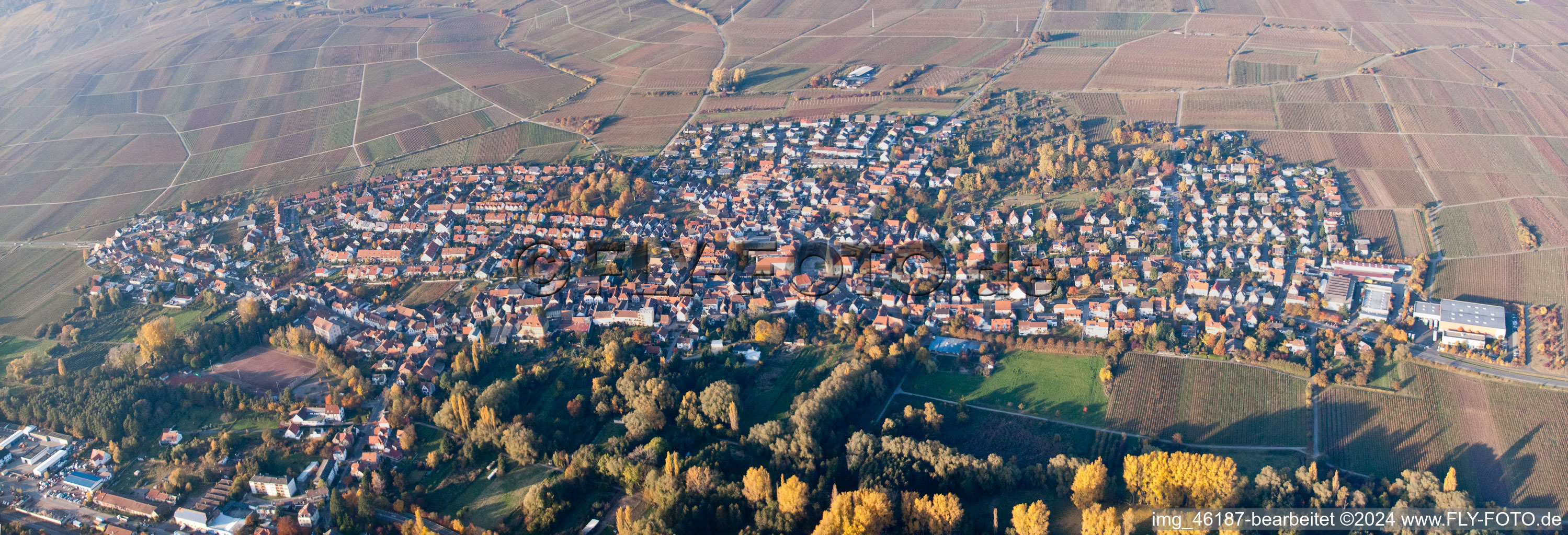 Photographie aérienne de Quartier Godramstein in Landau in der Pfalz dans le département Rhénanie-Palatinat, Allemagne