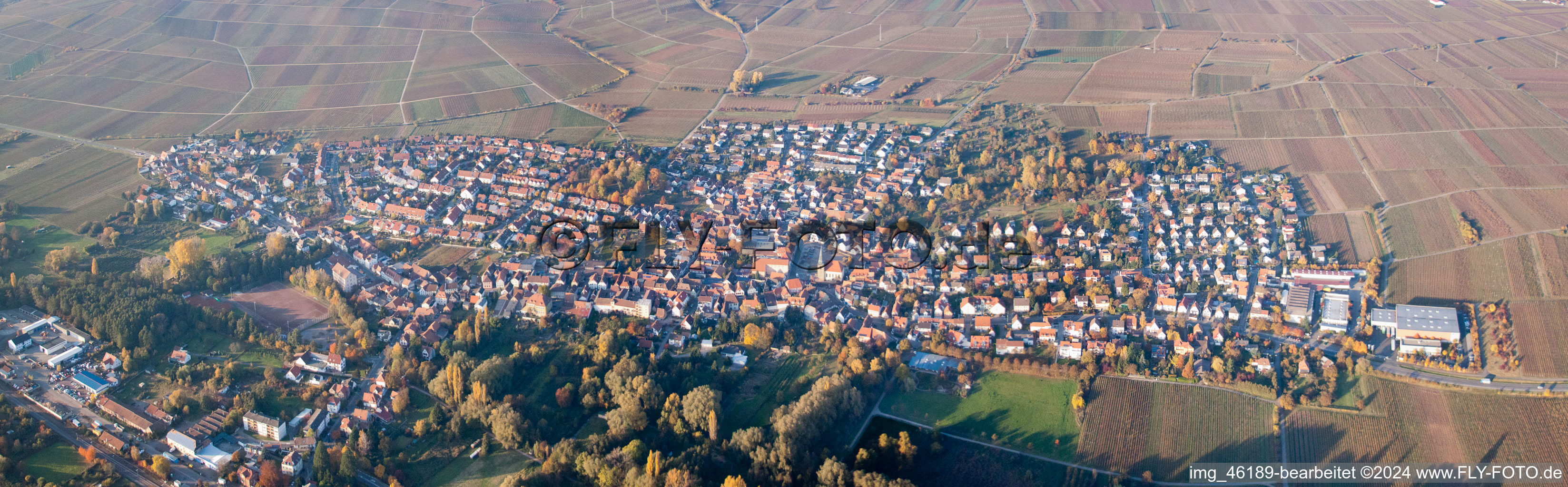 Vue aérienne de Perspective panoramique de la vue locale des rues et maisons des quartiers résidentiels à le quartier Godramstein in Landau in der Pfalz dans le département Rhénanie-Palatinat, Allemagne