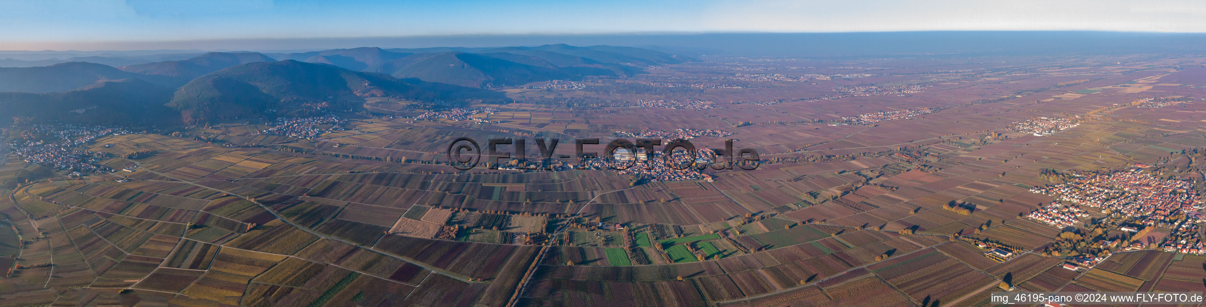 Vue aérienne de Route panoramique des vins et Haardtrand de Frankweiler au nord à Frankweiler dans le département Rhénanie-Palatinat, Allemagne