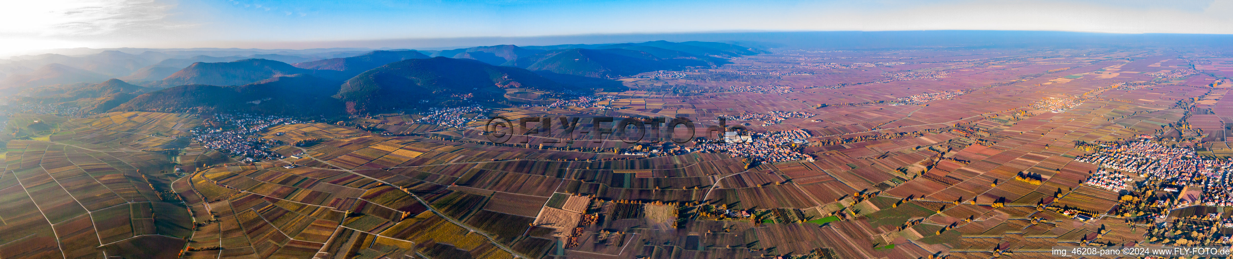 Vue aérienne de Route panoramique des vins et Haardtrand de Frankweiler au nord à Frankweiler dans le département Rhénanie-Palatinat, Allemagne