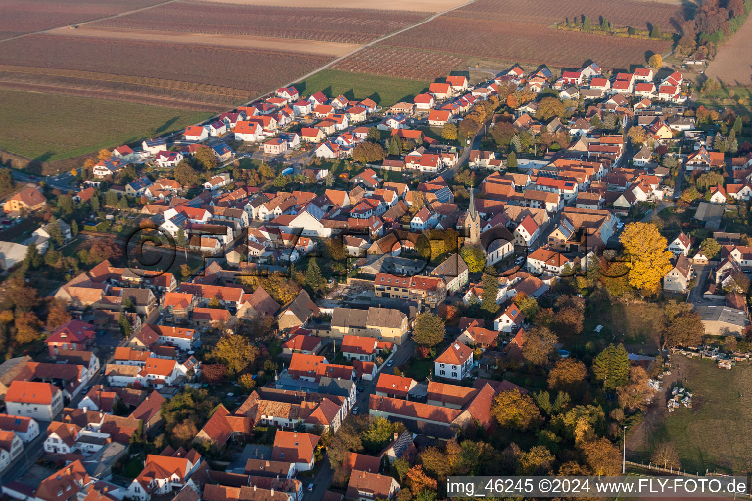Photographie aérienne de Champs agricoles et surfaces utilisables à Essingen dans le département Rhénanie-Palatinat, Allemagne