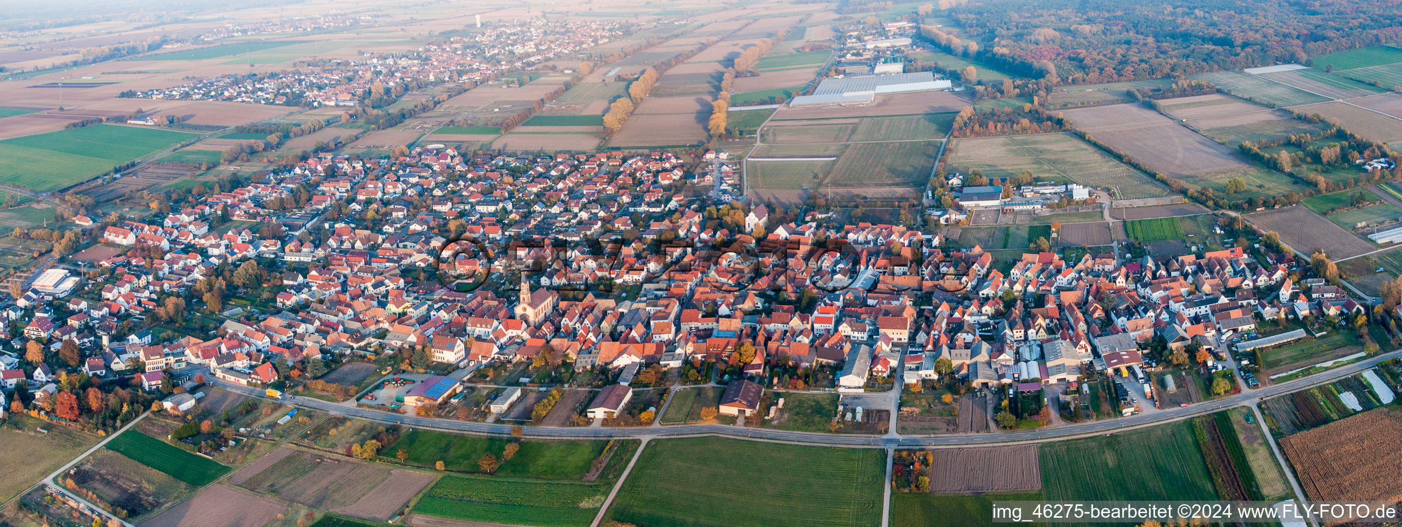 Vue aérienne de Vue sur le village à Zeiskam dans le département Rhénanie-Palatinat, Allemagne