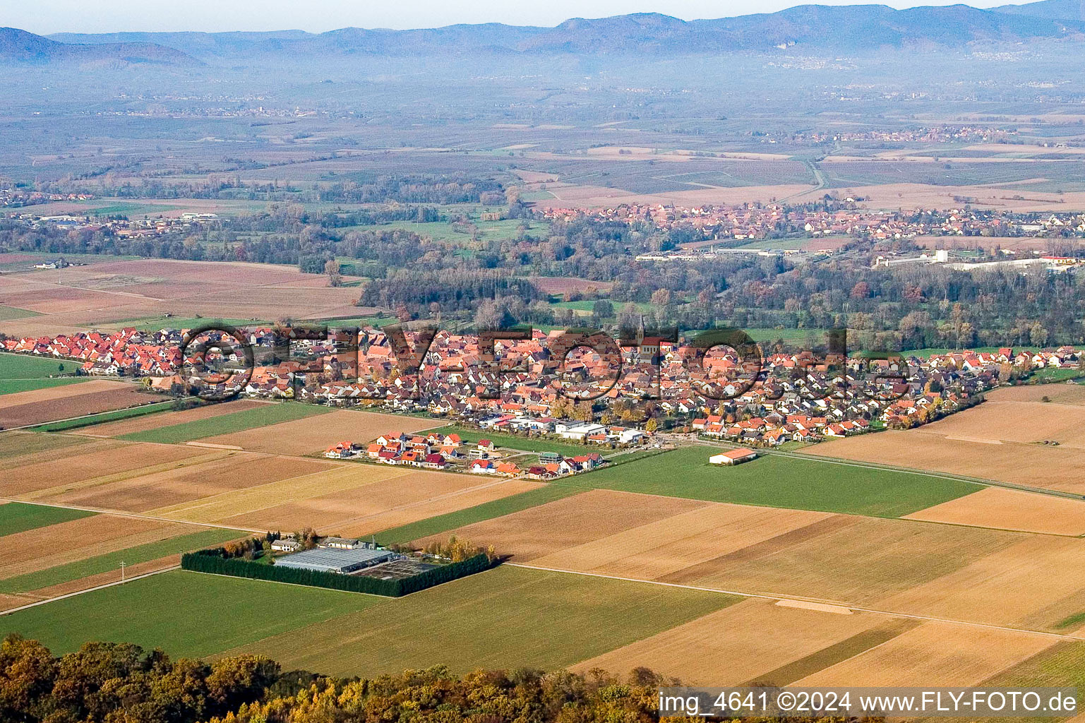 Vue aérienne de Champs agricoles et surfaces utilisables à Steinweiler dans le département Rhénanie-Palatinat, Allemagne