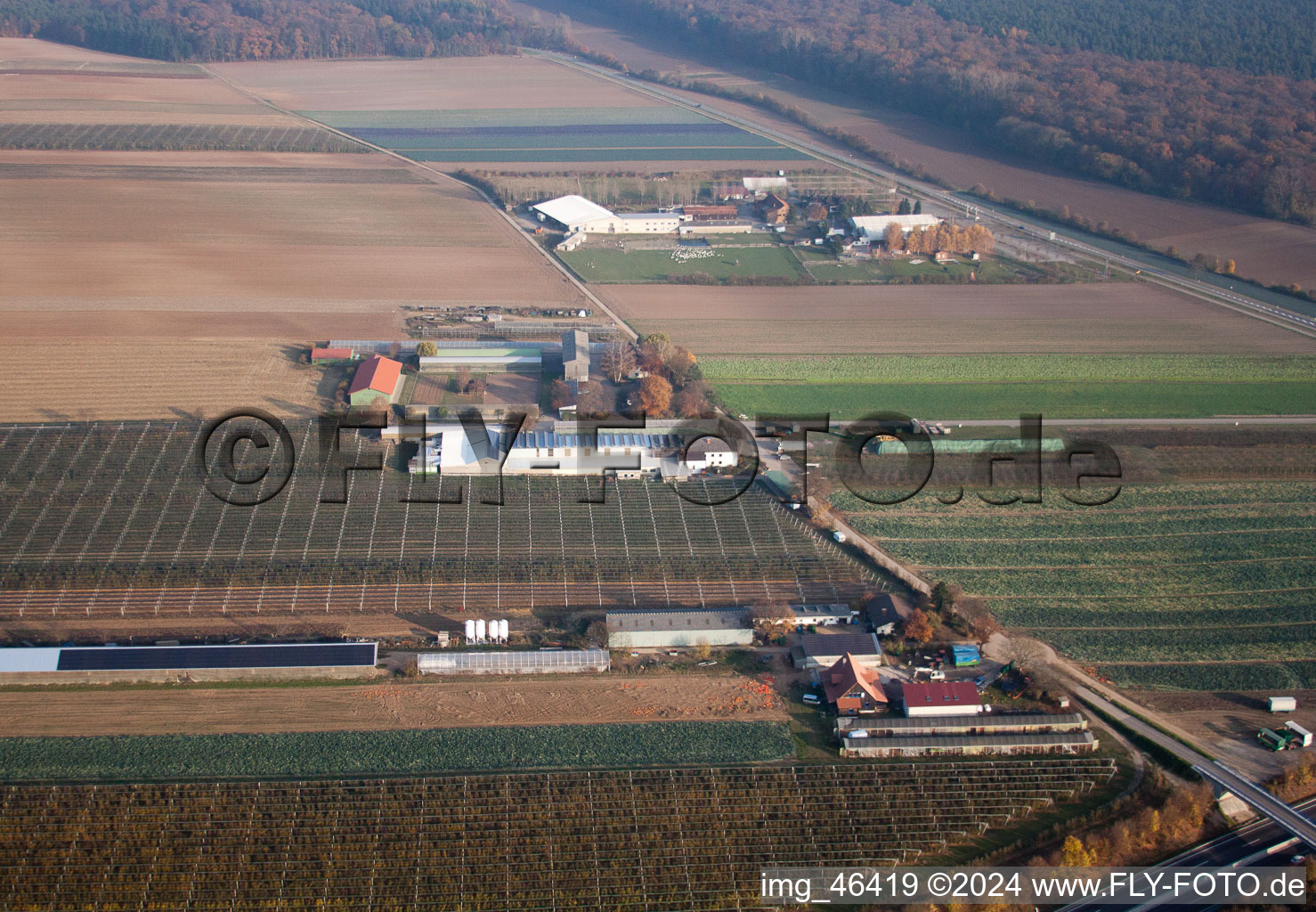 Adamshof à Kandel dans le département Rhénanie-Palatinat, Allemagne depuis l'avion