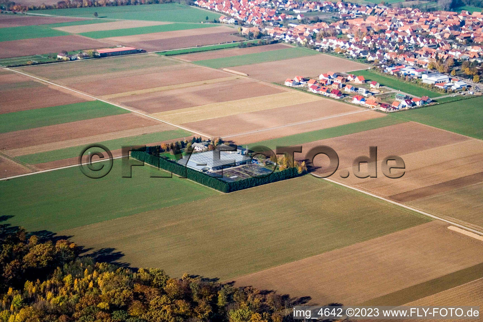 Vue aérienne de Sudètes à Steinweiler dans le département Rhénanie-Palatinat, Allemagne