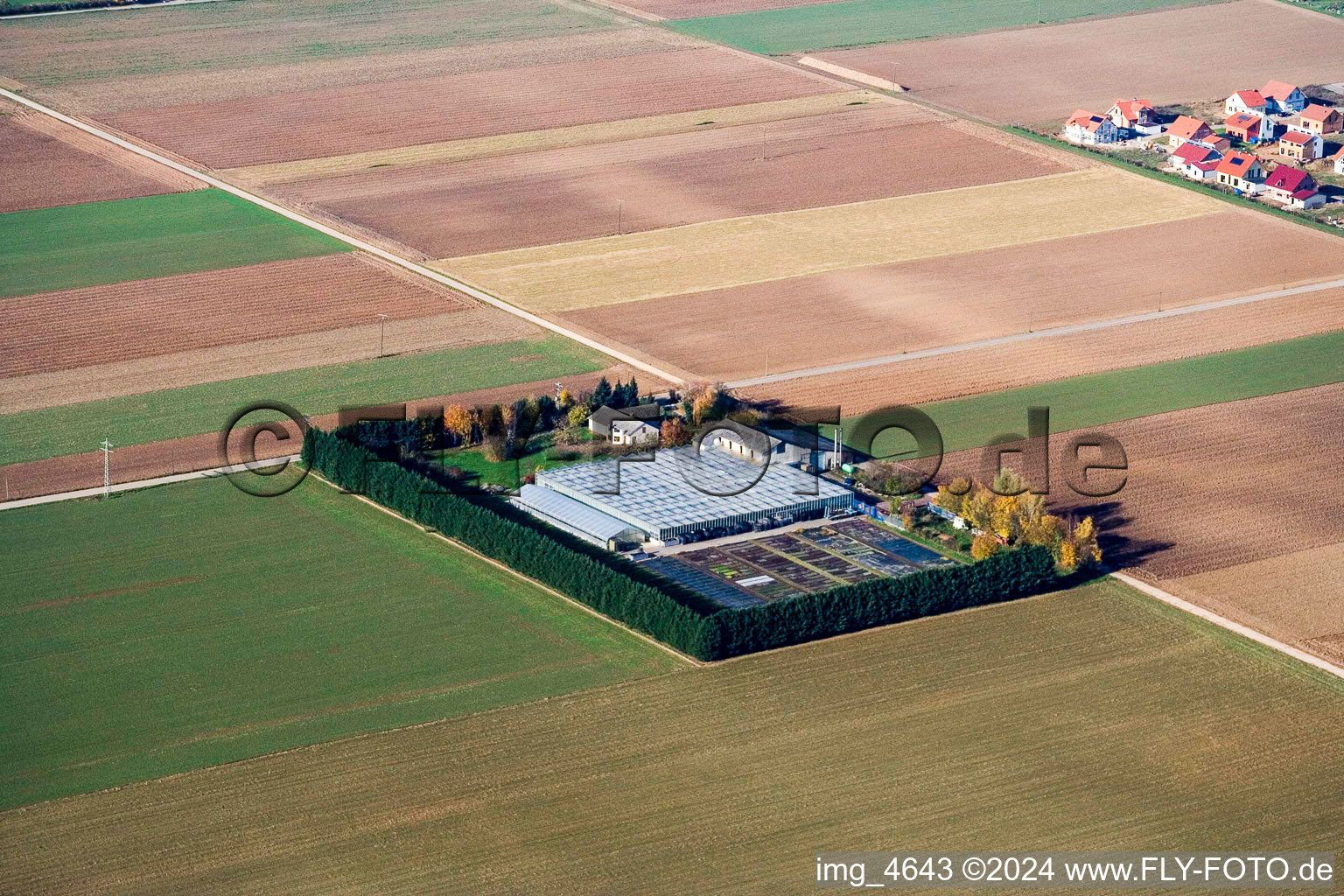 Vue aérienne de Sudètes à Steinweiler dans le département Rhénanie-Palatinat, Allemagne