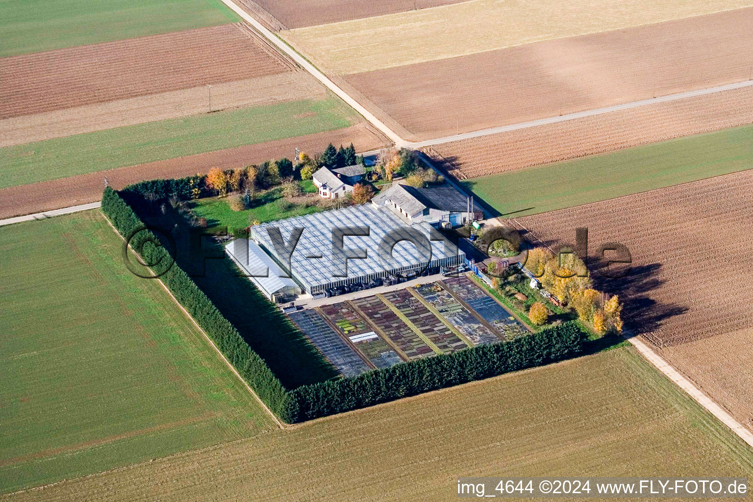 Photographie aérienne de Sudètes à Steinweiler dans le département Rhénanie-Palatinat, Allemagne