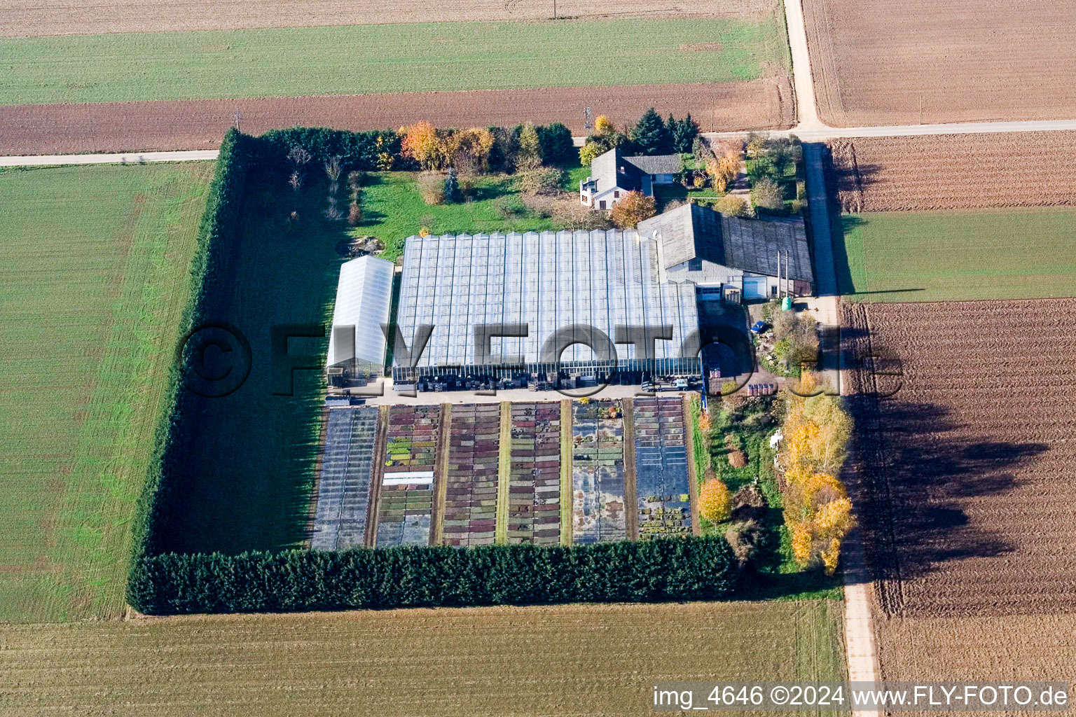 Vue oblique de Sudètes à Steinweiler dans le département Rhénanie-Palatinat, Allemagne